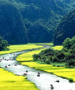 Vẻ đẹp của Tam Cốc vào mùa lúa chín