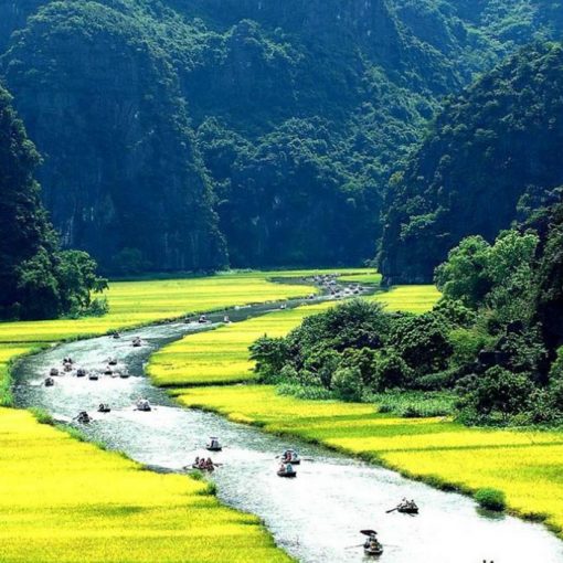 Vẻ đẹp của Tam Cốc vào mùa lúa chín