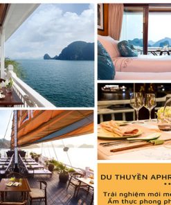 Những trải nghiệm độc đáo chỉ có tại du thuyền Aphrodite