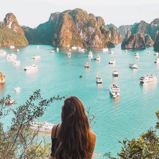 Ngắm toàn vịnh Hạ Long trên đảo Titop