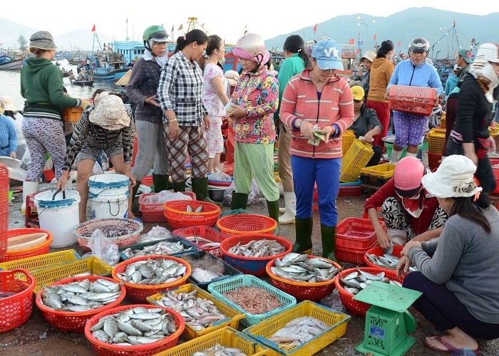 Chợ cá sớm Hạ Long