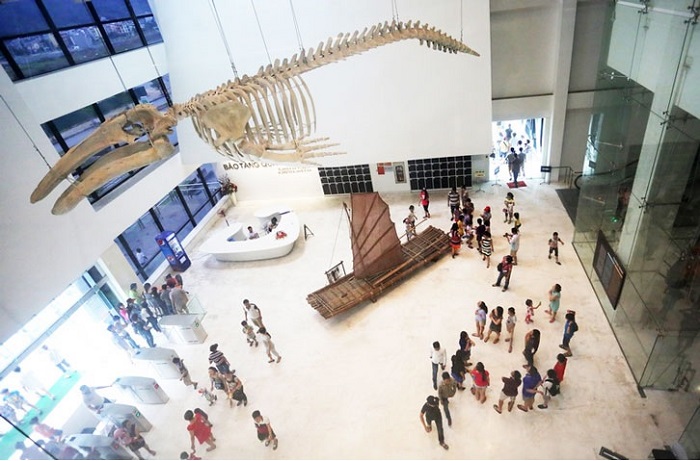 Tầng 1 là nơi trưng bày nhiều mô hình xương của sinh vật biển